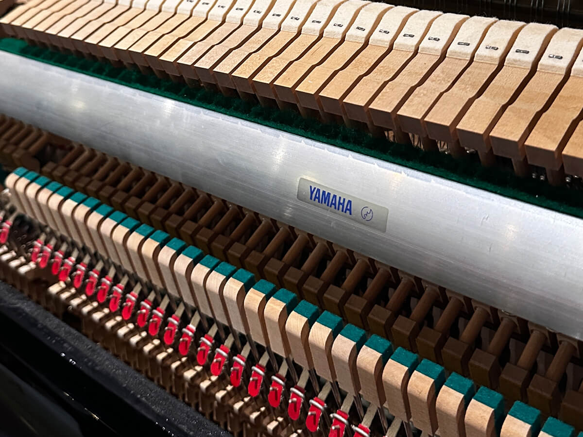 Eterna ER-30