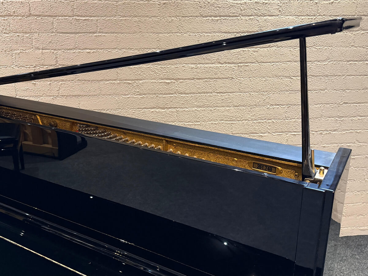 Schimmel 118T