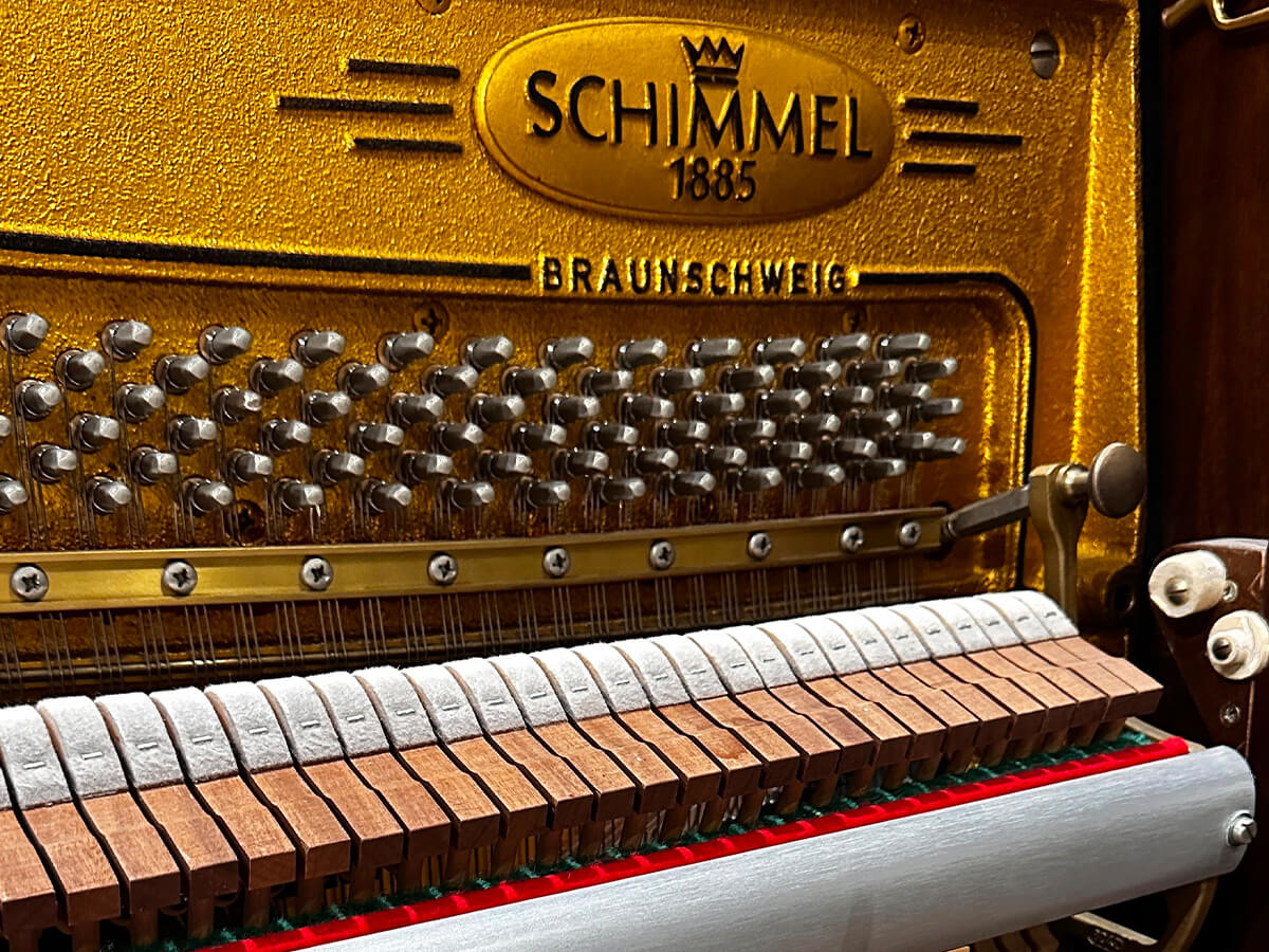 Schimmel 130