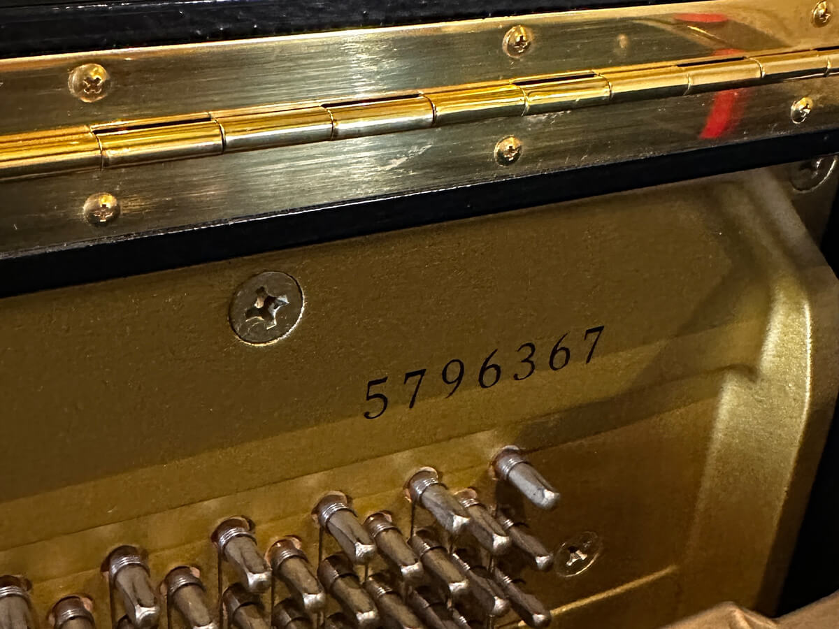Yamaha YU1